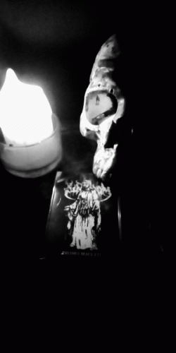 Kingdom (PL-1) : Promo 2022